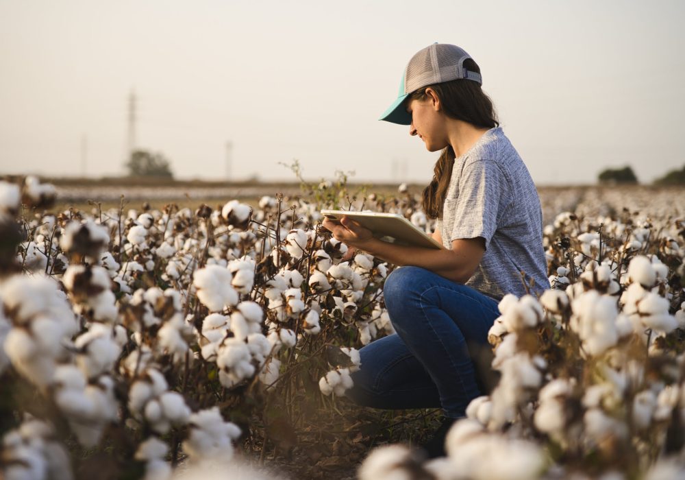 Record Keeping with FieldX Software